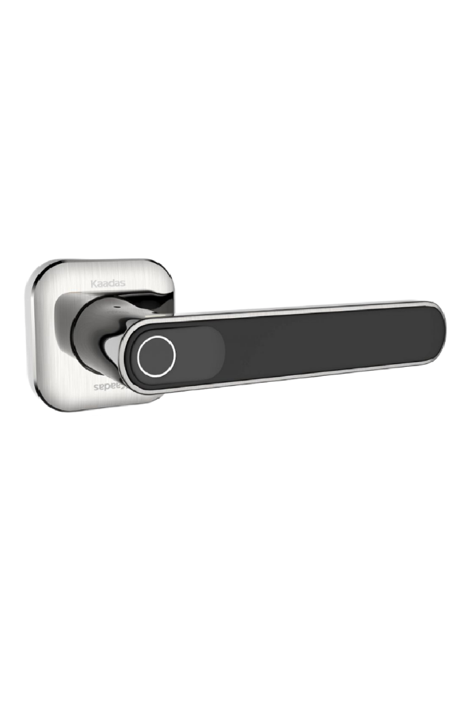 LH01 Silver